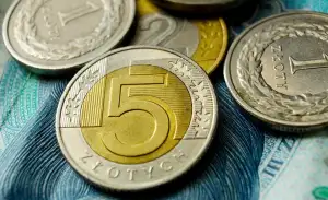 Zloty Na Kc